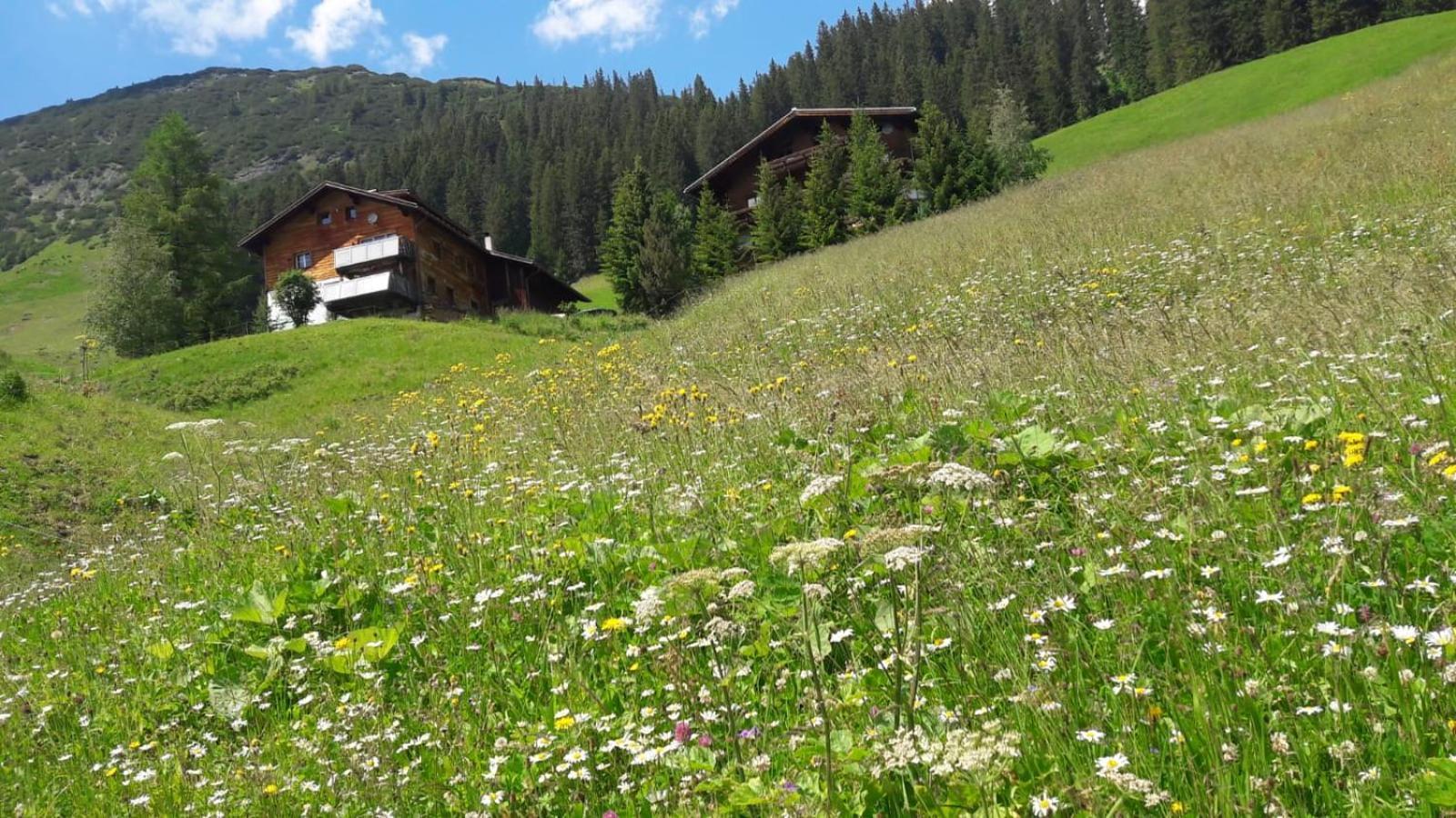 Apartmán Haus Sonnenschein Warth  Exteriér fotografie